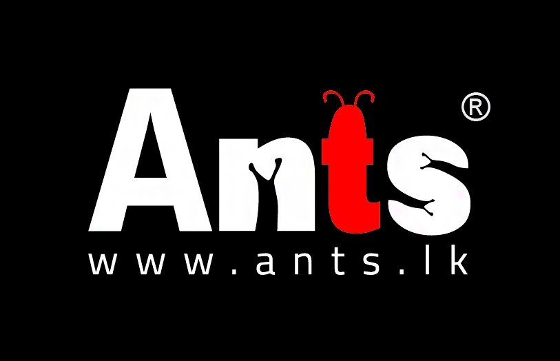 Ants Finance